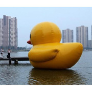 advertising inflatable duck